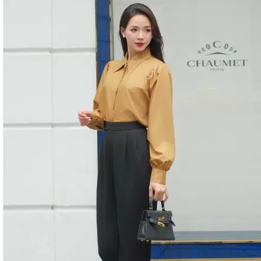 Áo Sơ Mi Công Sở Nữ Tay Dài Cổ Đức Chất Tuytsi