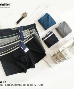 Quần lót đùi nam lạnh Vĩnh Tiến
